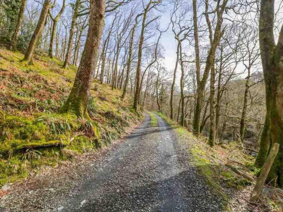 Pandy Farmhouse - Panoramic Mountain Views Within Snowdonia'S National Park - 4X4 Recommended 돌겔라우 외부 사진